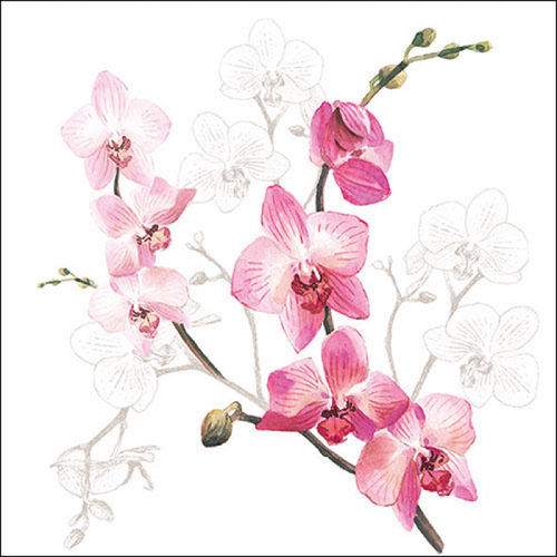 20 Papierservietten, Servietten ORCHID / Orchidee Ambiente
