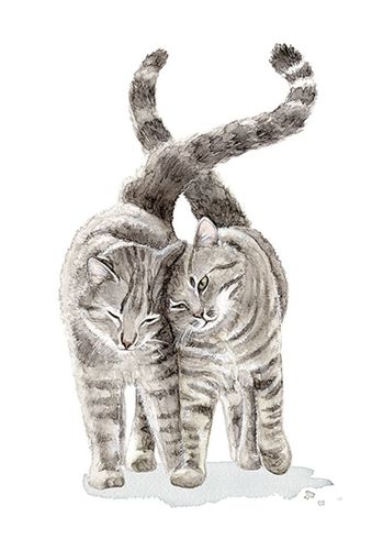 Postkarte, Karte KUSCHELKATZEN / Cuddling Cats by MALUU